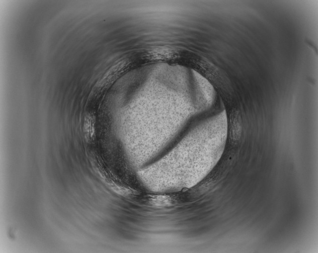 X0000100400091200806201746