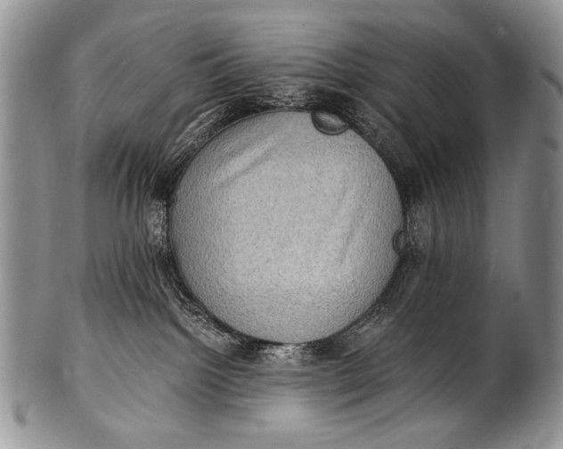 X0000100400092200806201746