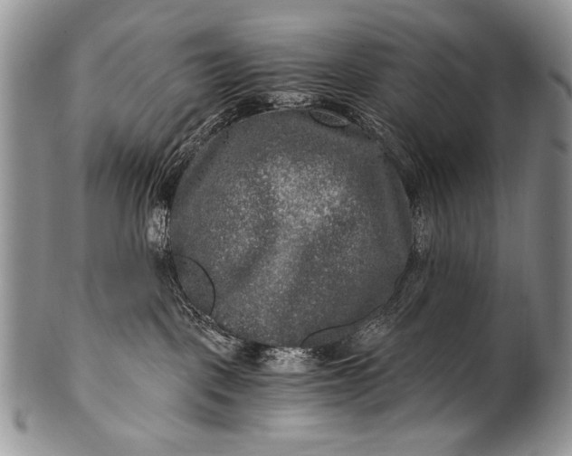 X0000100400093200806201746