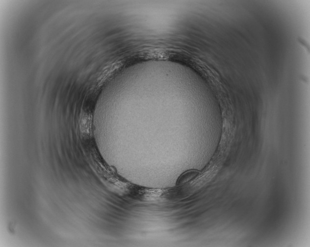 X0000100400096200806201746