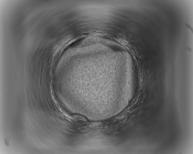 X0000100400097200806201745