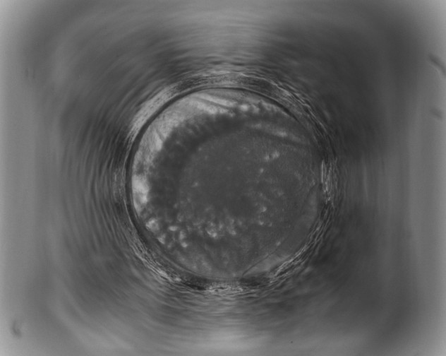 X0000100400099200806201745