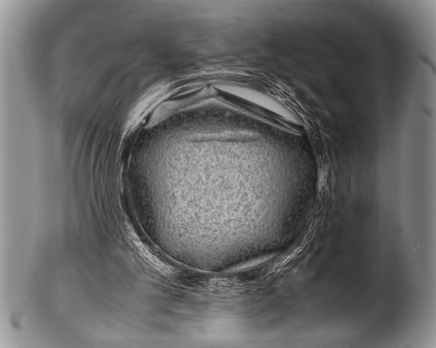 X0000100400101200806201745