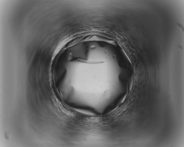 X0000100400102200806201745