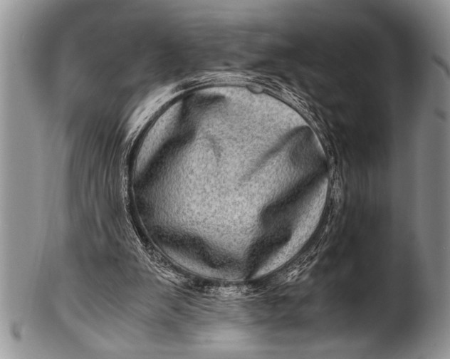 X0000100400103200806201745