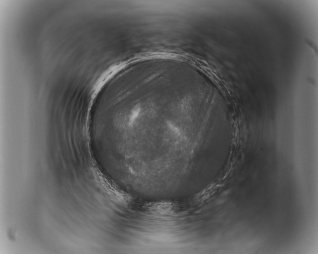 X0000100400104200806201745