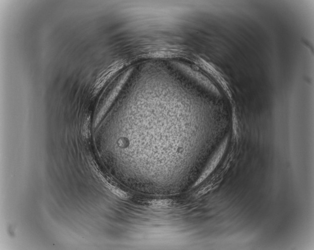 X0000100400105200806201745