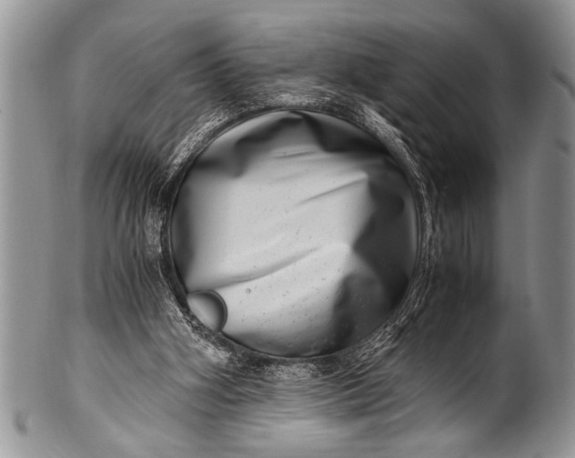 X0000100400106200806201745