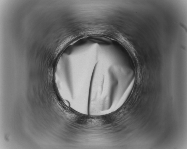 X0000100400107200806201745