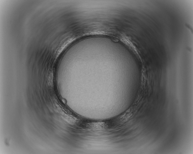 X0000100400108200806201745