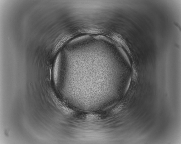 X0000100400109200806201745