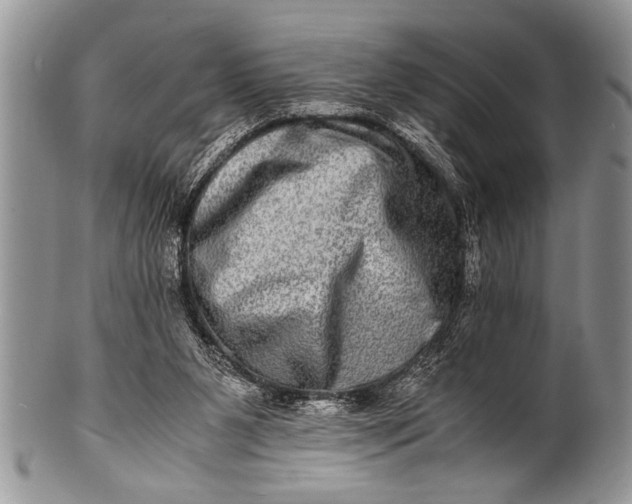 X0000100400111200806201745