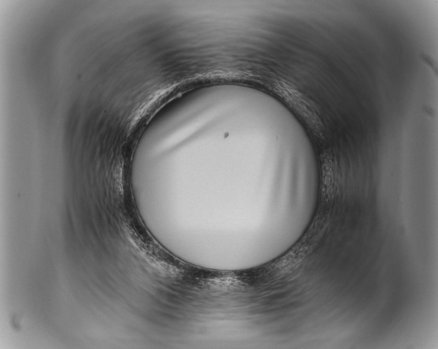 X0000100400112200806201745