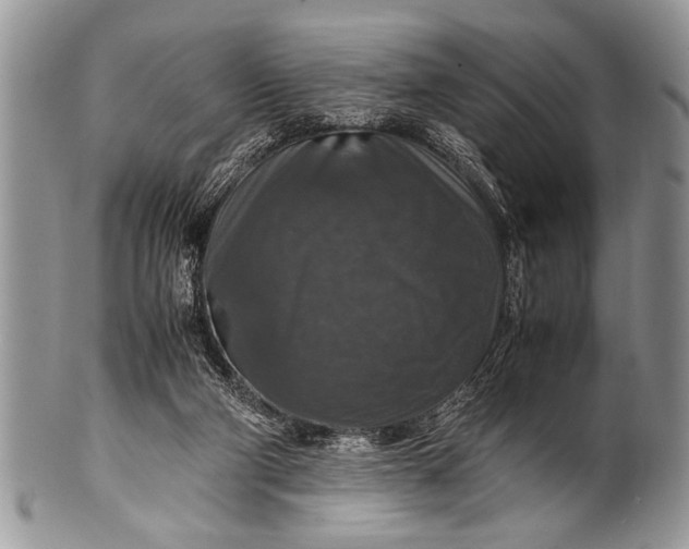 X0000100400114200806201745