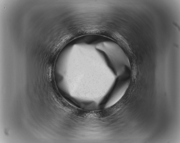 X0000100400115200806201745