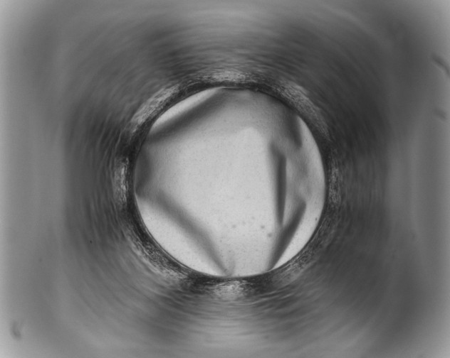 X0000100400116200806201745