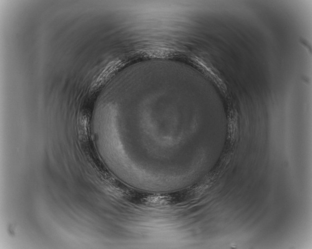 X0000100400117200806201745