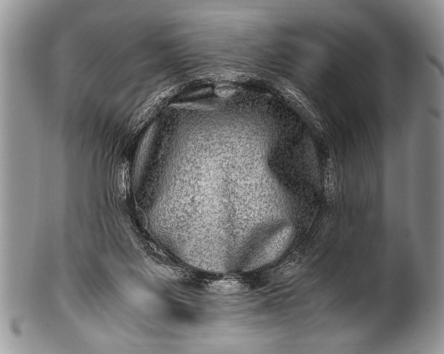 X0000100400119200806201745