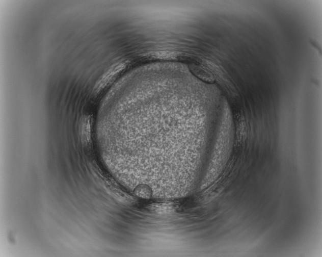 X0000100400120200806201745