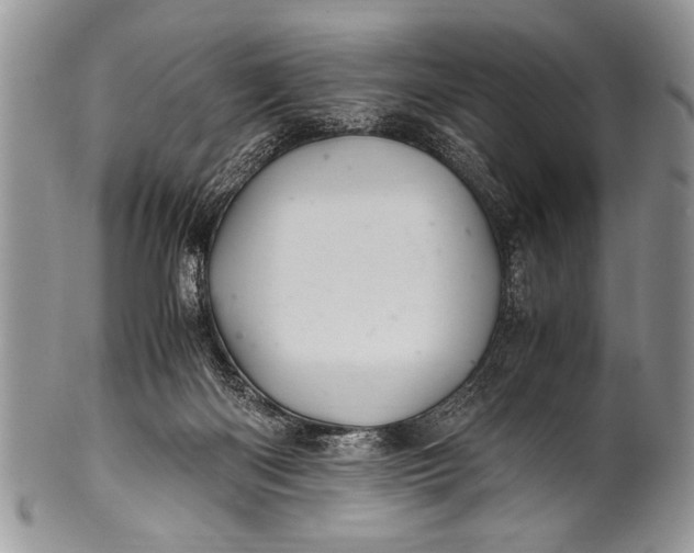 X0000100400122200806201745