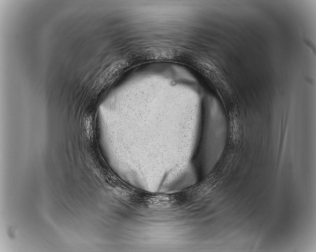 X0000100400123200806201745