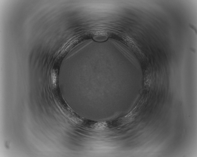 X0000100400124200806201745