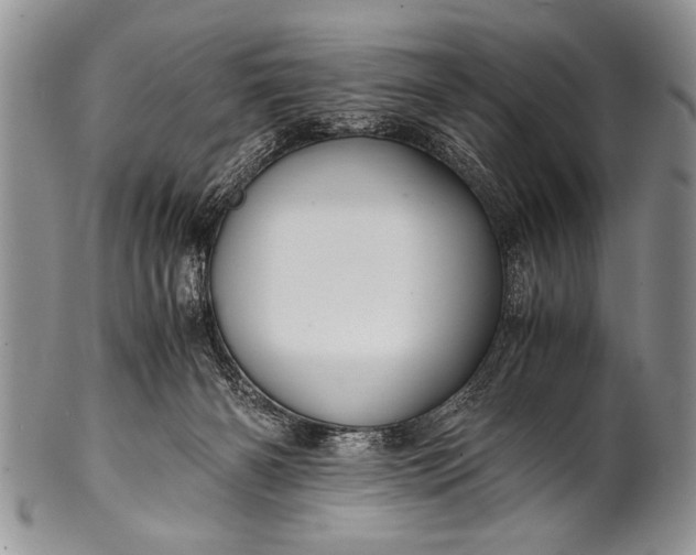 X0000100400126200806201745