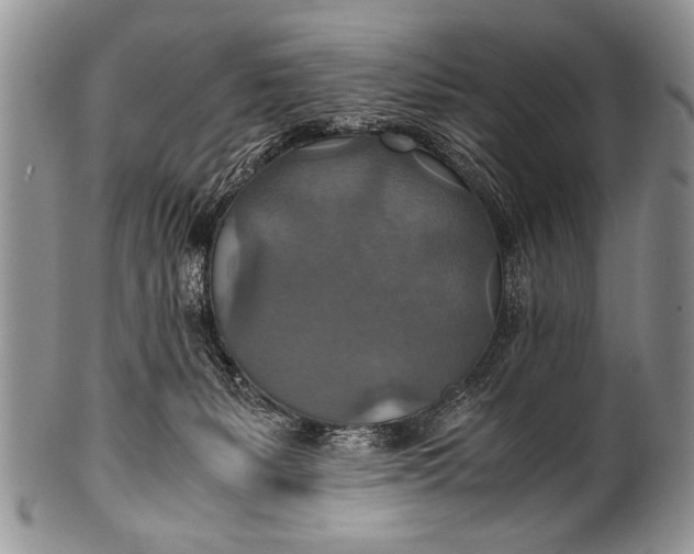 X0000100400127200806201745