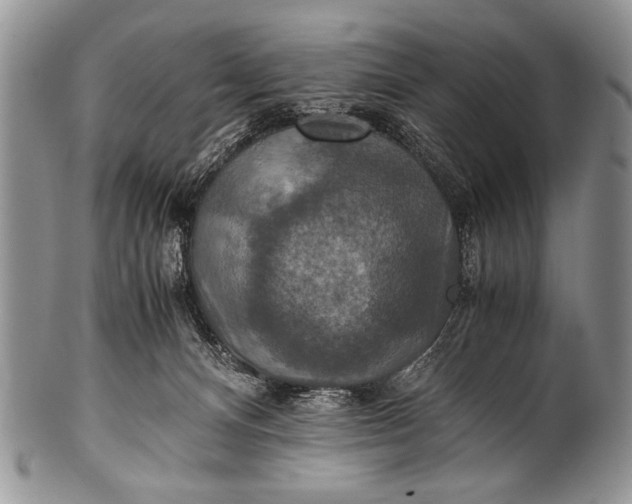X0000100400128200806201745