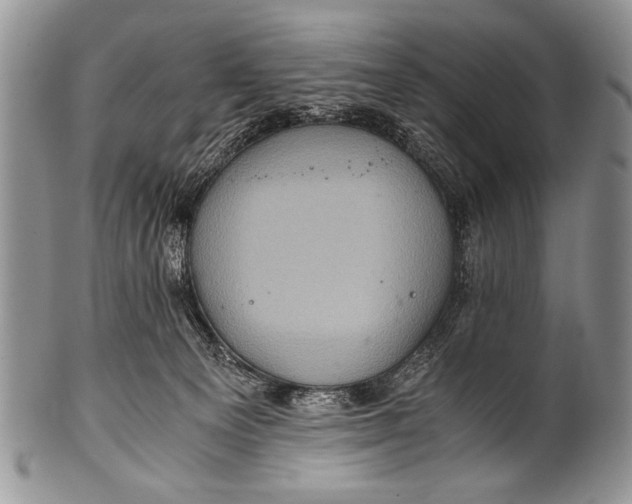 X0000100400129200806201745