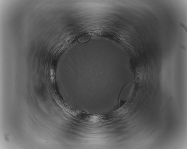 X0000100400130200806201745