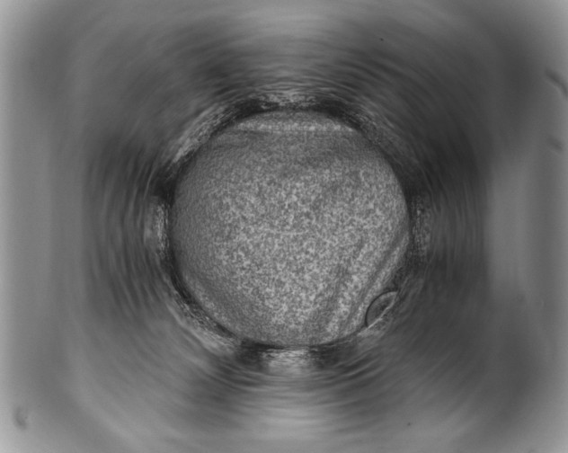 X0000100400132200806201745