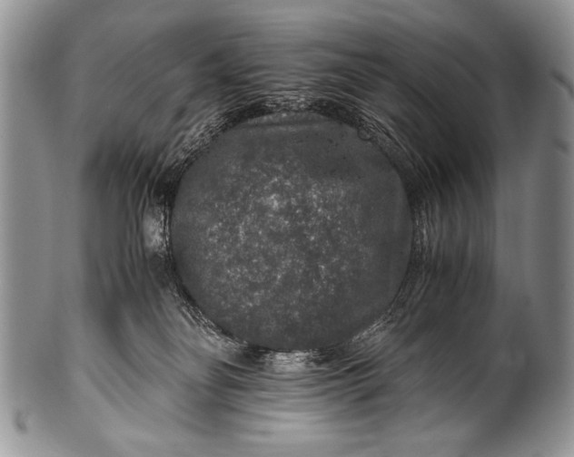 X0000100400134200806201745