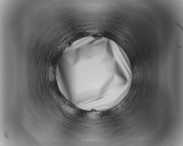 X0000100400136200806201745