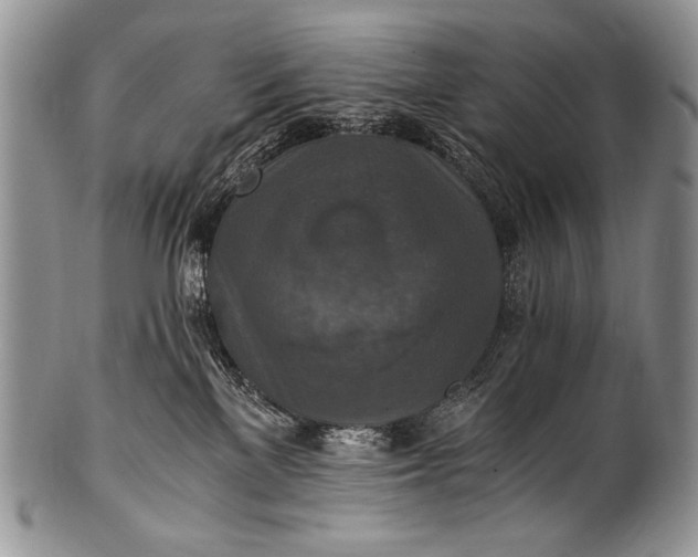 X0000100400137200806201745