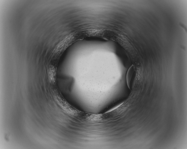 X0000100400138200806201745