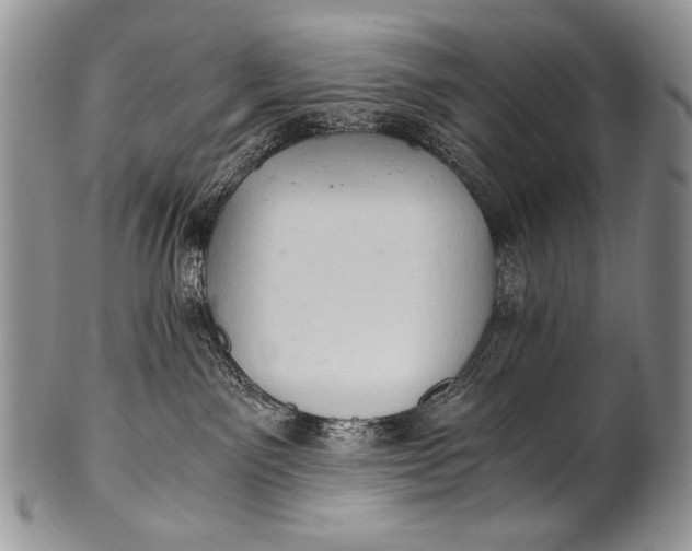 X0000100400141200806201745