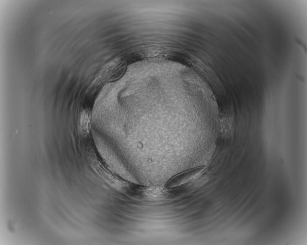X0000100400142200806201745