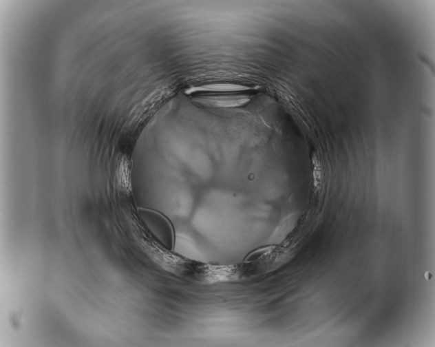 X0000100400143200806201744