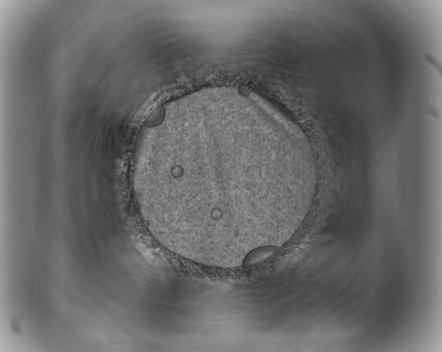 X0000100400144200806201744