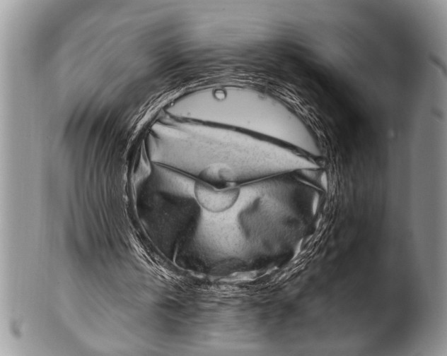 X0000100400146200806201744