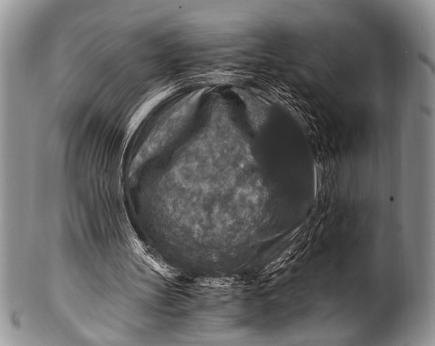 X0000100400147200806201744