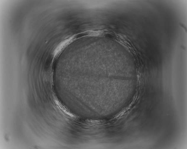 X0000100400149200806201744