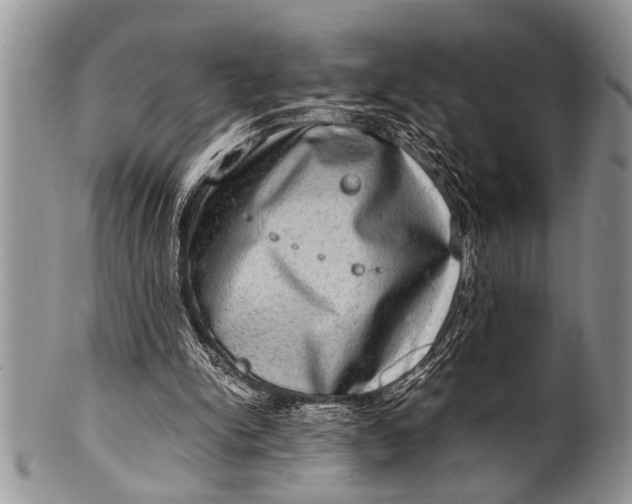 X0000100400150200806201744