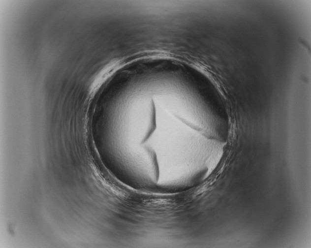 X0000100400151200806201744