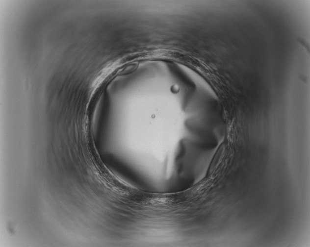 X0000100400152200806201744