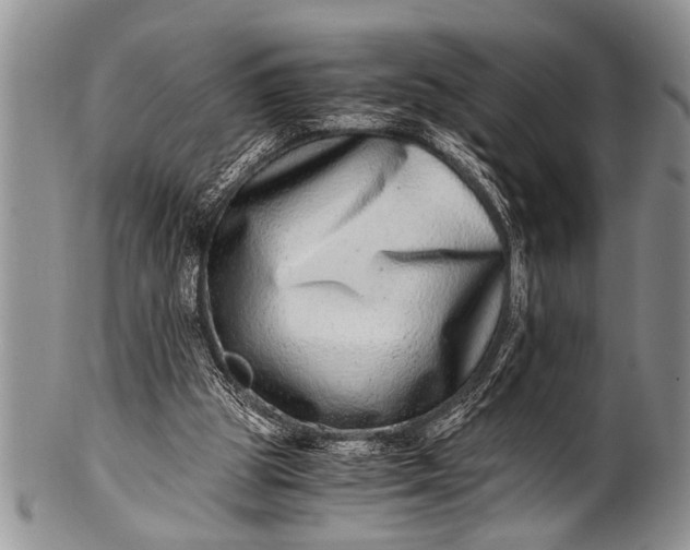X0000100400153200806201744