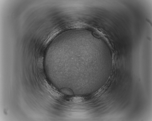 X0000100400154200806201744