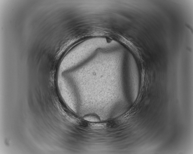 X0000100400155200806201744