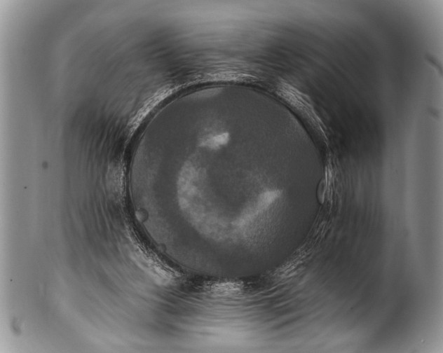 X0000100400156200806201744